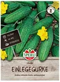 Produktbild: 80746 Sperli Premium Gurken Samen Libelle | Frühe Robuste Sorte | Gurkensamen alte Sorten | Mini Gurken Samen | Gurken Samen Freiland | Snackgurken Samen | Freilandgurken Samen ca. 35 Samen
