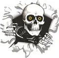 Produktbild: Hermann Schütz Aufkleber Einschussloch 90mm Motiv Totenkopf 80x80mm