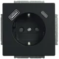Produktbild: Busch-Jaeger SCHUKO/2XUSB-STD A+C SW MATT / BUSCH 20 EUCB2USBAC-885 2CKA002011A6312