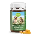 Produktbild: 120 Vitamin B Komplex Hunde und Katzen (1 Dose), Sanct Bernhard