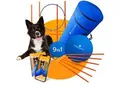 Produktbild: PfotenWunder® 9-in-1-Agility Set Hunde groß + 21 Min. HUNDESCHULE - 6 Slalomstangen, 1 Tunnel, für kleine & große Hunde, Training Sport Spielzeug Cavaletti Parcour Steckhürdenset Zubehör Hürden