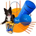 Produktbild: PfotenWunder Agility-Slalom 9-in-1 Agility Set Hunde groß, Training Sport Parcour Hürden