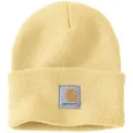 Produktbild: Carhartt Watch Mütze, weiss für Männer
