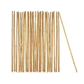 Produktbild: BigDean 50x Pflanzstab Bambusstab 105 cm x 8-10 mm Bambus Rankhilfe Pflanzstab Tonkinstab 100% Naturprodukt Pflanzstäbe Bambusstäbe Bambusstangen