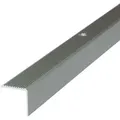 Produktbild: Dalsys - Treppenkantenprofil Mit Befestigungsmaterial - 100cm X 42mm X 20mm Champagner