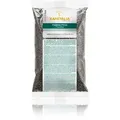 Produktbild: XanitaliaPro Film Wax Pelables Primo Brasilian System 1000g Schwarz