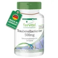 Produktbild: Fairvital | Traubensilberkerze Kapseln 5000mg - 120 Kapseln - HOCHDOSIERT mit 500mg Traubensilberkerze-Extrakt 10:1 pro Kapsel - Black Cohosh - VEGAN - Cimicifuga Racemosa