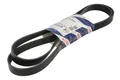 Produktbild: Für BOSCH 1 987 945 736 V-ribbed Belt 1 987 945 736 Multi-V-belt (7PK2005) fits