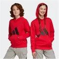 Produktbild: adidas Sportswear Kapuzensweatshirt J BL FT HD 280 rot 128 EU
