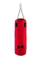 Produktbild: Hammer Boxsack Canvas Professional (Set, mit Boxhandschuhen, mit Haken, mit Sprungseil, mit Trainings-DVD)