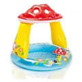Produktbild: Intex Mushroom Pool 102x89cm