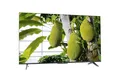 Produktbild: TCL 75T69CX1 LED-Fernseher (75 Zoll, 4K Ultra HD, Ja)