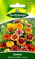 Produktbild: Zinnien Old Mexico - Dauerblüher in braun-gelben Farbtönen - Zinnie Blumen Samen