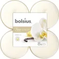 Produktbild: Bolsius Duftteelichte Maxi Vanille, Höhe 1,17 cm, Ø 4,5 cm, 6er Pack Teelicht