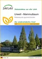Produktbild: SAFLAX Blumensamen SAFLAX - Samen - Urwelt - Mammutbaum