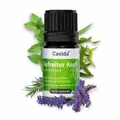 Produktbild: BEFREITER KOPF Duftmischung ätherisches Öl 5 ml