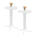 Produktbild: TRUTZHOLM 2X Stehtisch klappbar in Weiß Ø 70 cm Höhe 110 cm Stahl Gastrotisch Partytisch Bistrotisch Empfangstisch Indoor & Outdoor für Hochzeiten und Gartenfeste wetterbeständig pflegeleicht