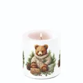 Produktbild: Kerze, Lampionkerze CUDDLE BEAR 9cm Ambiente | Kuschelbär, Winter, Weihnachten