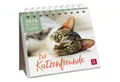 Produktbild: groh Verlag Schreibtischkalender Mini-Wochenkalender 2026: Für Katzenfreunde