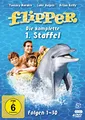 Produktbild: Flipper - Die komplette 1. Staffel (Fernsehjuwelen) [4 DVDs]