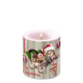Produktbild: Kerze Lampionkerze CURIOUS KITTENS 9cm Ambiente | Katzen
