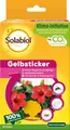 Produktbild: SBM Klebefalle Solabiol Gelbsticker 10 Stück Spezialleim ohne Insektizid