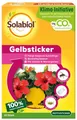 Produktbild: Solabiol Gelbsticker 10 Stück