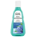 Produktbild: 250ml Guhl Anti- Schuppen Shampoo bei juckender Kopfhaut Blaue Malve mit Zink
