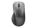 Produktbild: Maus Lenovo 4Y51J62544