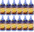 Produktbild: Felce Azzurra Argan & Vaniglia 12 x 900ml Weichspüler Konzentrat