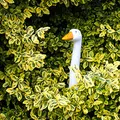 Produktbild: colourliving Gartenfigur Gans Gänsekopf Gartenstecker Gänsehals Gänse Deko Garten Dekoration 36cm