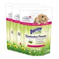 Produktbild: 3 x 4 kg = 12 kg Bunny Kaninchen Traum Young für Zwergkaninchen bis 6 Monate