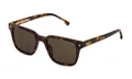 Produktbild: Lozza Sonnenbrille SL4283 RIMINI 4  09AJ Havana Braun Mann Frau