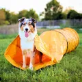 Produktbild: PROCYON Profi Agility Sack-Tunnel ST Spieltunnel Hundehöhle L=300 Ø60 cm
