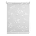 Produktbild: Lichtblick Rollo, Klemmfix, 120x150 cm, Vogel, weiß - weiss