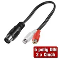 Produktbild: Adapter DIN Stecker 5 polig 180° auf 2 x Cinch Buchse Stereo - Adapterkabel 0,2m
