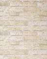 Produktbild: EDEM 583-20 Rustikale Vinyl Tapete Mauerstein Klinker Ziegel-stein sand-beige