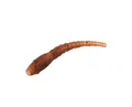 Produktbild: 6 x DELPHIN WORM Aligner Hair Rig Sleeves Wurm Optik (1,16 EUR/St.)