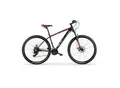 Produktbild: MBM Mountainbike 29 Zoll LOOP DISC