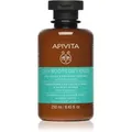 Produktbild: Apivita Oily Roots & Dry Ends Shampoo Shampoo für fettige Haare und trockene Haarspitzen 250 ml