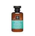 Produktbild: APIVITA Holistic Hair Care Oily Roots & Dry Ends Shampoo mit Brennnessel & Pr...