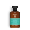 Produktbild: APIVITA SH ÖL WURZELN 250ML/19