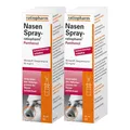 Produktbild: Nasenspray ratiopharm Panthenol 2x20 ml