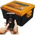 Produktbild: Liontron Lithium LiFePO4 LX - Arctic Smart BMS Wohnmobil Untersitz Batterie 12,8V 150Ah