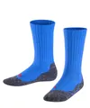 Produktbild: FALKE Socken Active Warm (1-Paar) mit weicher Plüschsohle
