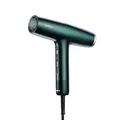 Produktbild: BABYLISS Air Power Pro Haartrockner Dunkelgrün, gold (1700 Watt)