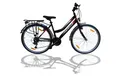 Produktbild: Talson Cityrad 26 Zoll Cityrad, 21 Gang Shimano, Kettenschaltung, mit Beleuchtung nach StVZO und Gepäckträger Schwarz