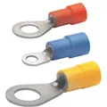 Produktbild: Klauke Ringkabelschuh M8 1,5-2,5qmm DIN isol bl Nach DIN (6308)