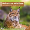 Produktbild: Heimische Wildtiere Broschürenkalender 2026 - 30x30 - Art12 | GmbH | Kalender