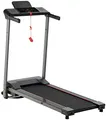 Produktbild: Newgen Medicals Treadmill Laufband: Laufband mit XL-LCD-Touch-Display, Tablet-Halter, klappbar, 600 W (mit Bildschirm, mit Monitor, Fitnessband)